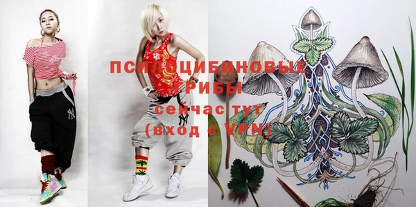 эйфоретик Лихославль