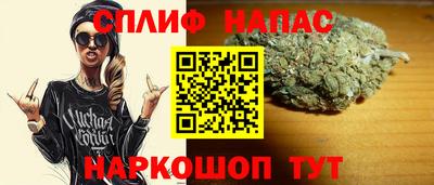 шишки Моздок