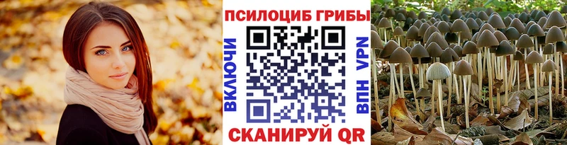 Псилоцибиновые грибы Magic Shrooms  магазин  наркотиков  Сосновоборск 